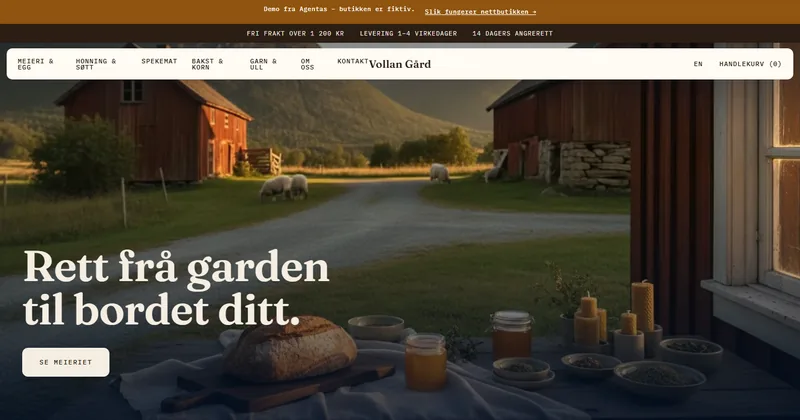 Nettbutikk / Shopify